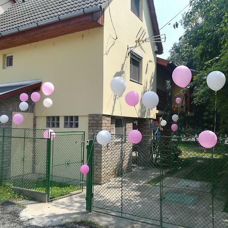 Tiszavirág Vendégház Szeged Exterior foto