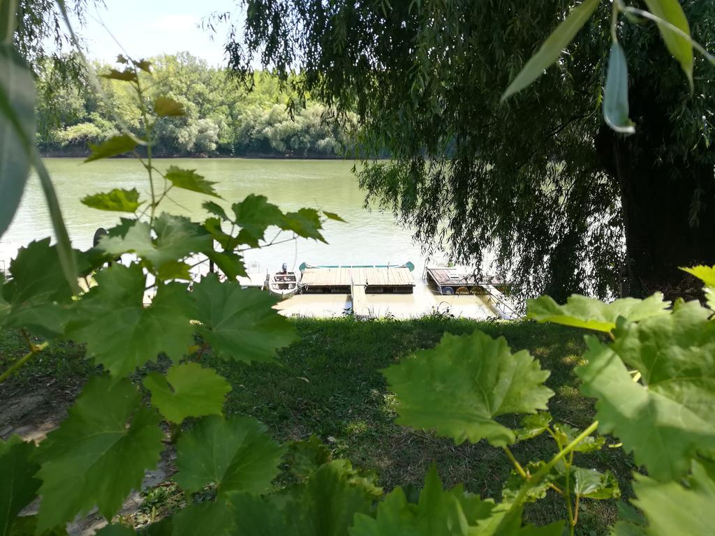 Tiszavirág Vendégház Szeged Exterior foto